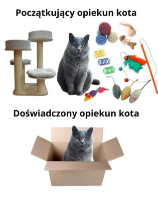 FB_IMG_1771239171273.jpg (46.47 KiB) Przejrzano 37 razy FB_IMG_1771239171273.jpg