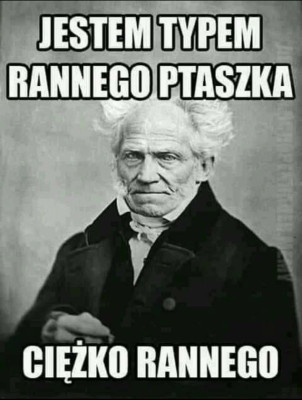 FB_IMG_1771337879063.jpg (41.82 KiB) Przejrzano 35 razy FB_IMG_1771337879063.jpg